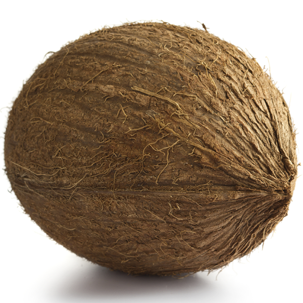 Fresh Whole Coconut with Shell